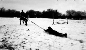 Man being pulled by horse