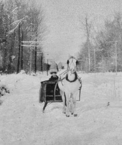 Getting around in the winter was only possible with the help of horses and sleighs. While this isn't Ed Egeler, it is a person headed to town just south of Omena.