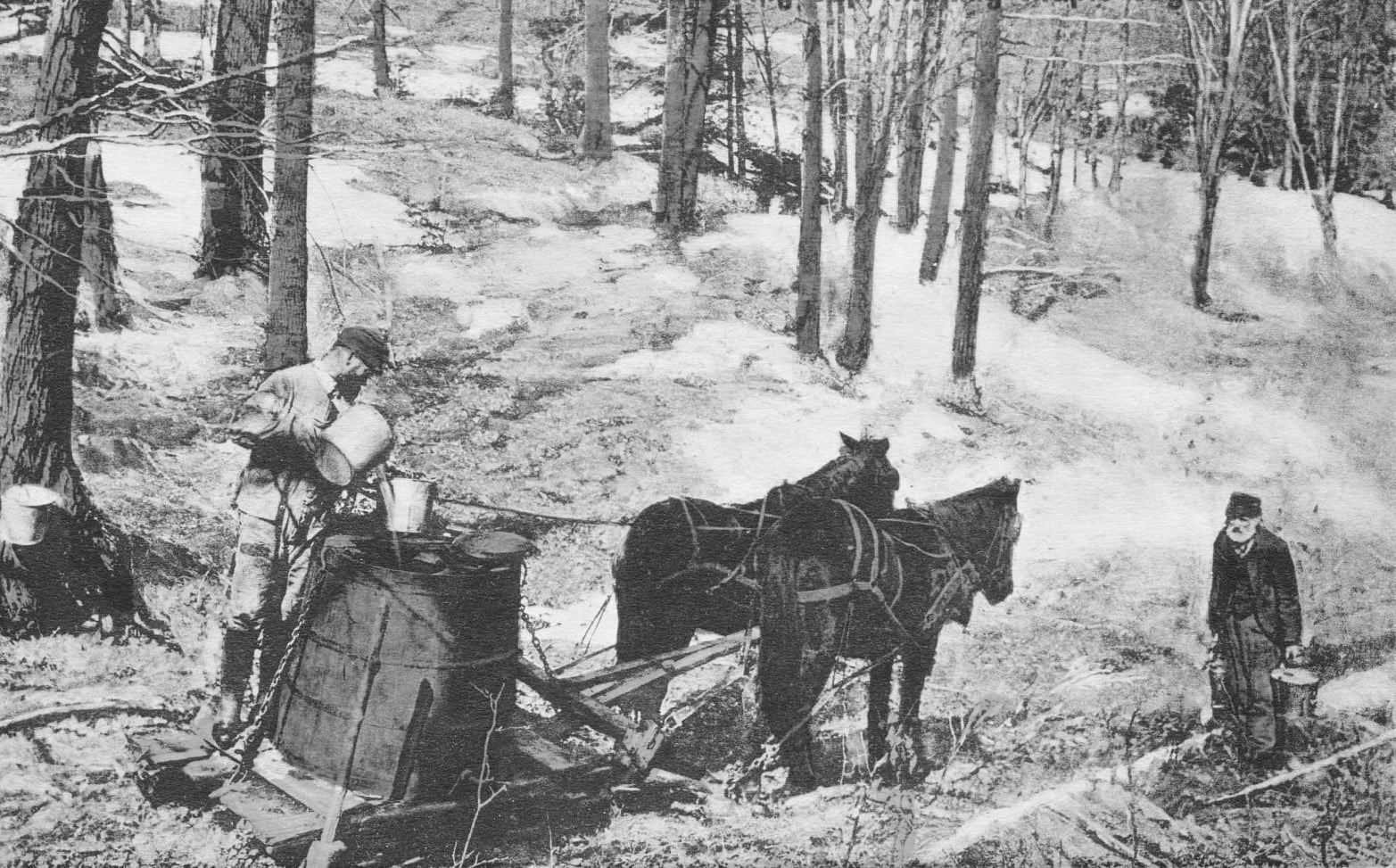 1913 photo from the SC Wilcox Farm
