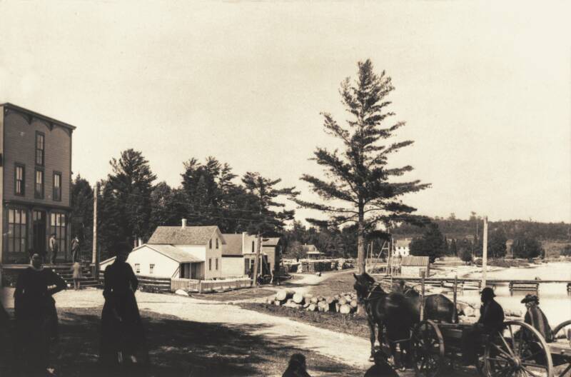 Horse and buggy in downtown Omena