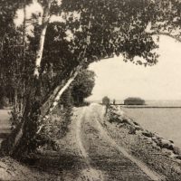 The original boardwalk and Shab-wah-sung Boulevard on Omena Point. - Courtesy Omena Historical Society The original boardwalk and Shab-wah-sung Boulevard on Omena Point.