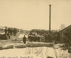 Logs and Lumber Jacks