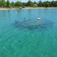 The ghostly remains of the Anderson Dock as of a few years ago. Scuba divers love exploring the pilings. I wonder what else is down there. Photo Credit: Marsha Buehler The ghostly remains of the Anderson Dock as of a few years ago. Scuba divers love exploring the pilings. I wonder what else is down there. Photo Credit: Marsha Buehler